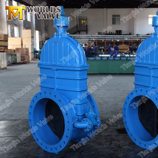 BS5163 Awwa C515 C509 DIN3202 F4 F5 Wras Acs Ce Ggg40/50 ダクタイル鋳鉄非