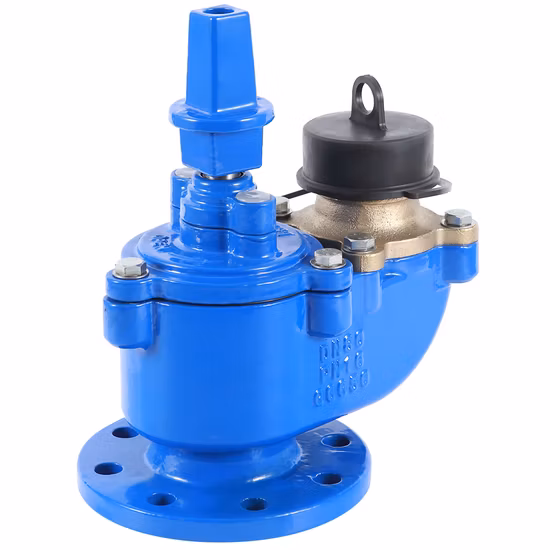 ホットセール BS750 地下消火栓